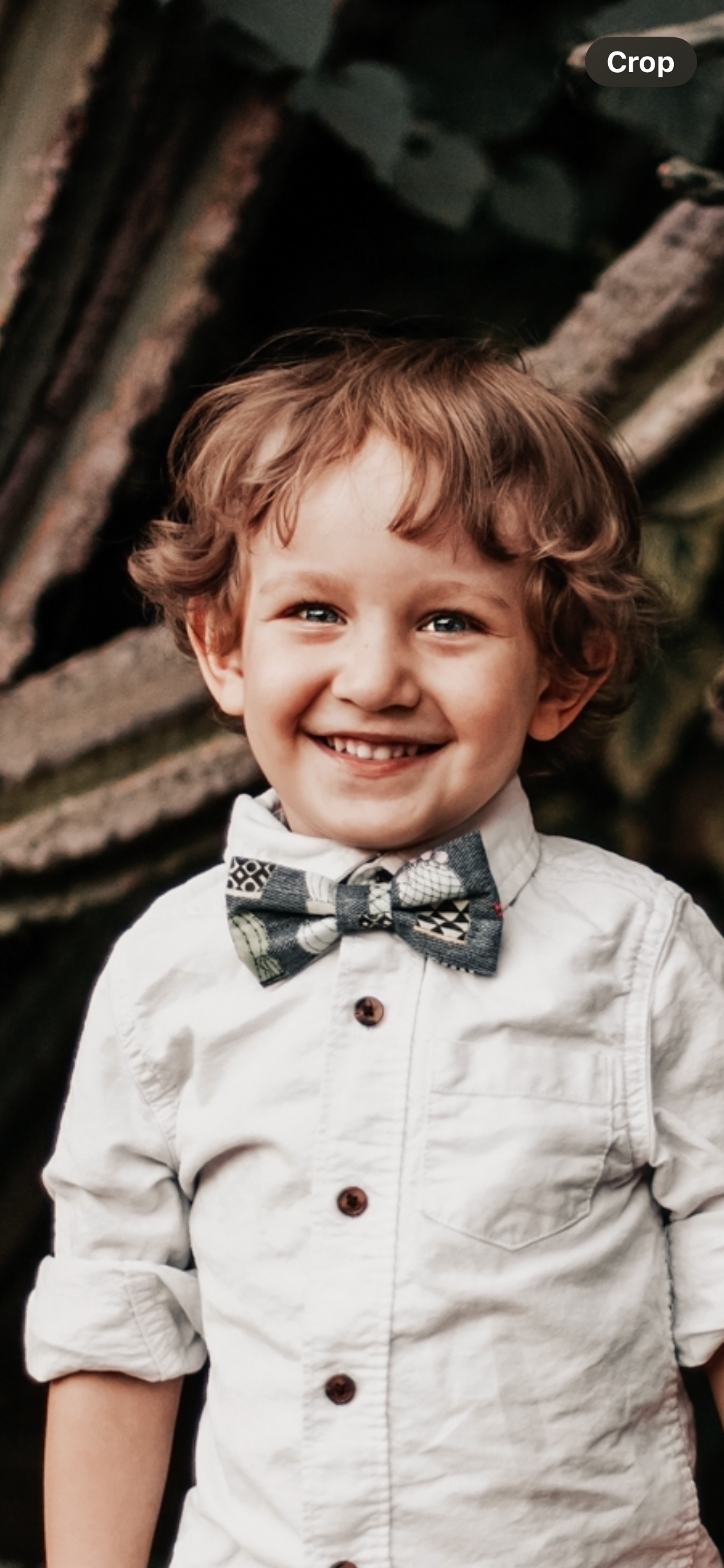 Cactus Southwest Bow Tie