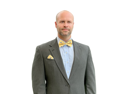 Yellow Satin Horse Theme Bow Tie