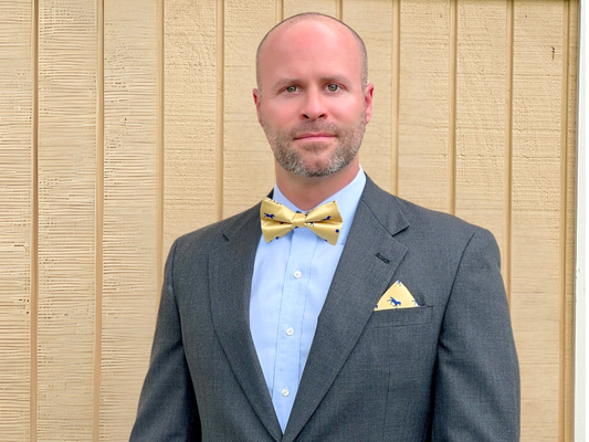 Blue Satin Horse Theme Bow Tie