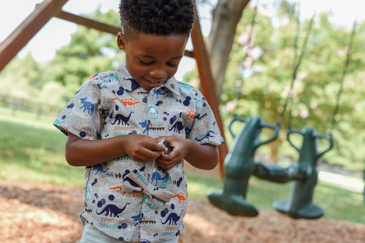 Boys Dinosaur Shirt and Bow Tie