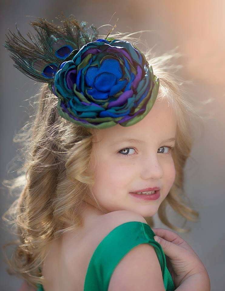 Peacock Hair Clip