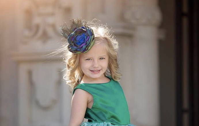 Peacock Hair Clip