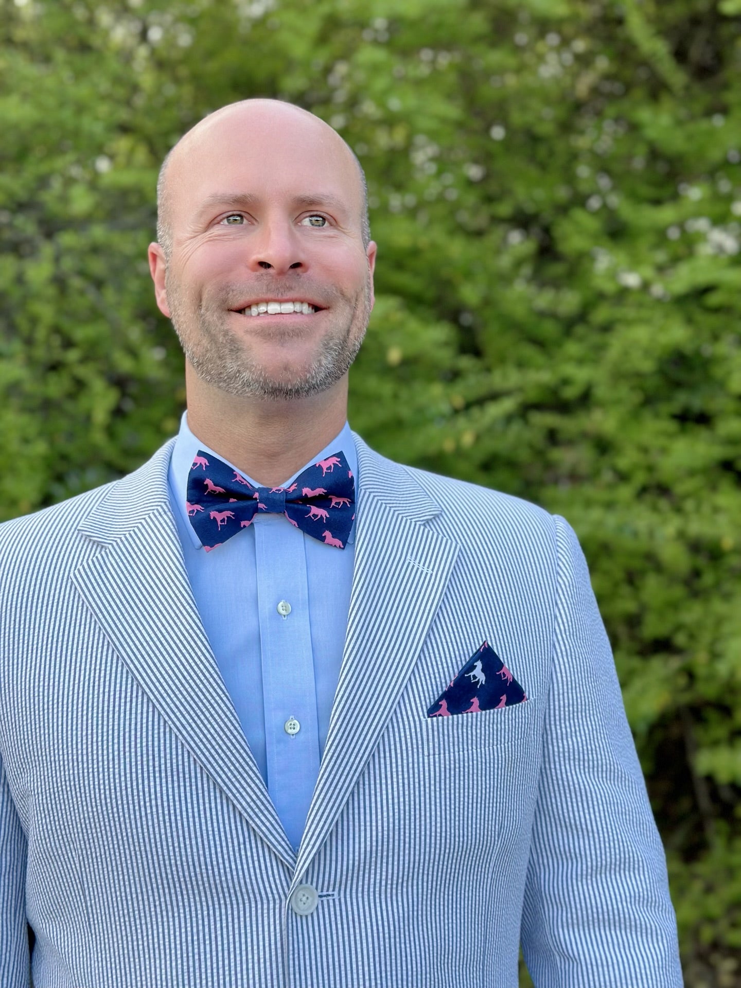 Navy Derby Horses Bow Tie for Men