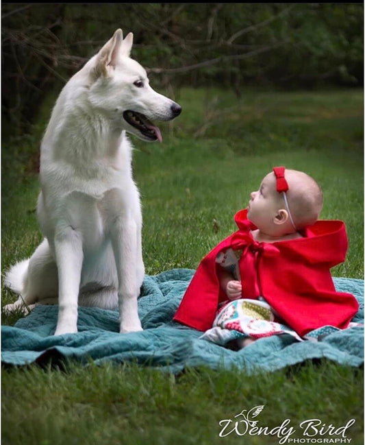 Baby girl wearing a Red Riding Hood red cape and peasant dress 